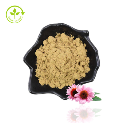 Suministro de fabricación Echinacea Purpurea Extracto de equinácea con ácido achicorico