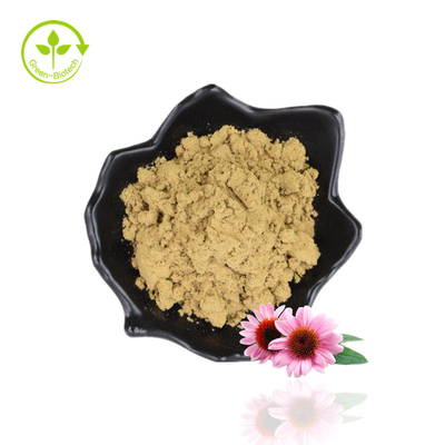 A granel 4% Polifenol Echinacea Purpurea Extracto Polvo Purple Coneflower Extracto