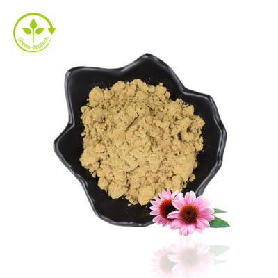 A granel 4% Polifenol Echinacea Purpurea Extracto Polvo Purple Coneflower Extracto