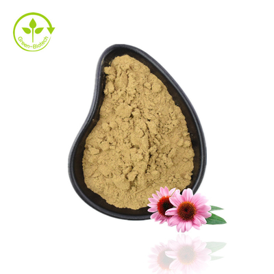 Fuente de fábrica Extracto de equinácea en polvo Echinacea Purpurea Extracto de equinácea con alta calidad