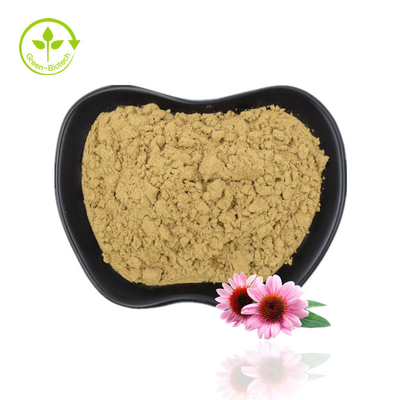 Fuente de fábrica Extracto de equinácea en polvo Echinacea Purpurea Extracto de equinácea con alta calidad