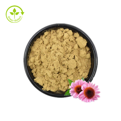 Extracto de Echinacea/Extracto de Echinacea Purpurea a granel/Extracto de Echinacea 4% Polifenoles