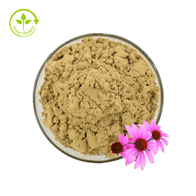 Certificado ISO 100% Extracto de equinácea natural Echinacea Purpurea Extracto 10% Polifenol