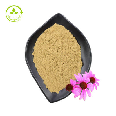 Polifenoles de alta calidad estándar GMP Echinacea Purpurea en polvo Extracto de Echinacea Purpurea