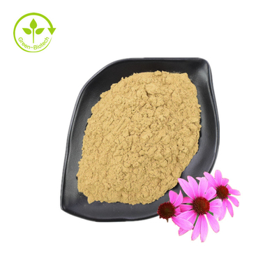 Suministro de extracto de Echinacea Purpurea de buen grado Suplemento para el cuidado de la salud Extracto de Echinacea Purpurea