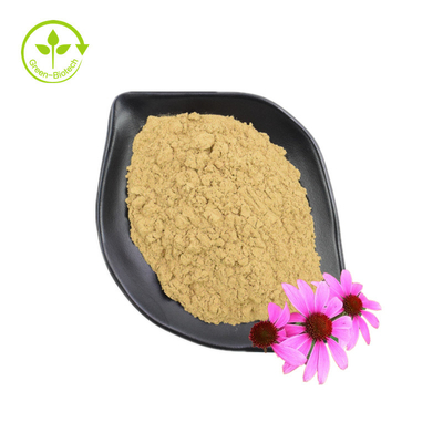 Suministro de extracto de Echinacea Purpurea de buen grado Suplemento para el cuidado de la salud Extracto de Echinacea Purpurea