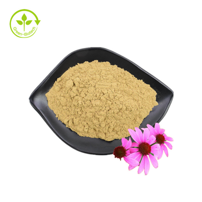 Suministro al por mayor 3% Extracto de flor de Echinacea Purpurea de ácido achicorico Extracto de Echinacea Purpurea
