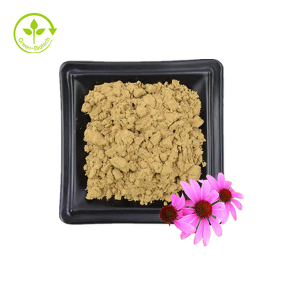 Suministro a granel Echinacea Purpurea Extracto 4% Polifenol 2% Ácido chicorico