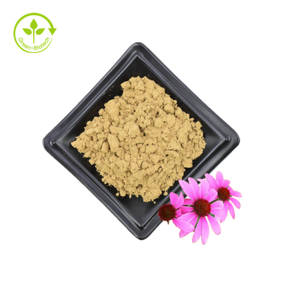 Suministro a granel Echinacea Purpurea Extracto 4% Polifenol 2% Ácido chicorico