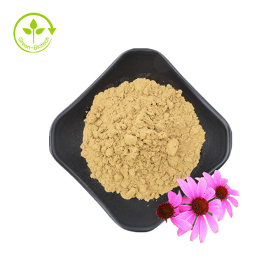 Extracto de raíz de Echinacea Purpurea de alta calidad 10% polifenoles Extracto de Echinacea Purpurea Extracto de Echinacea
