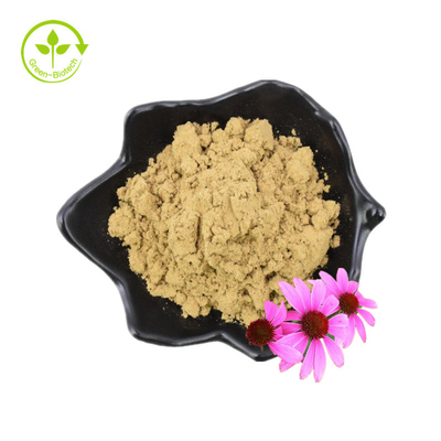 Extracto puro de Echinacea Purpurea del polvo del extracto de la flor de Echinacea Purpurea del ácido achicorico al 4%