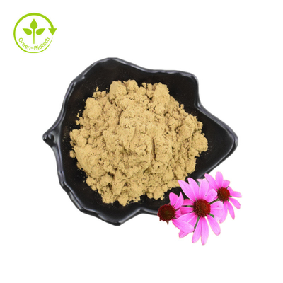 Extracto seco polifenol orgánico de las semillas de flor del polvo Echinacea Purpurea