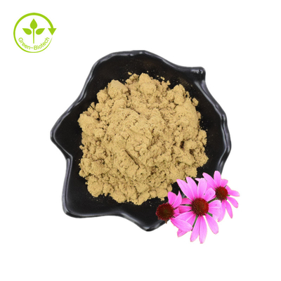 Echinacea Purpurea Extracto de Echinacea Extracto de 4% de ácido cicórico