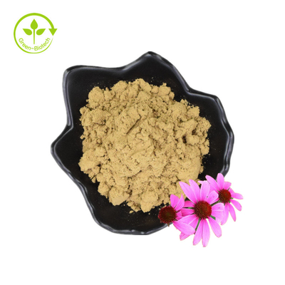 Polifenoles a granel 4% ácido cicórico Echinacea en polvo Extracto de Echinacea Purpurea