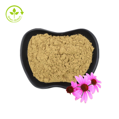 Extracto orgánico de echinacea purpurea Extracto de raíz de echinacea