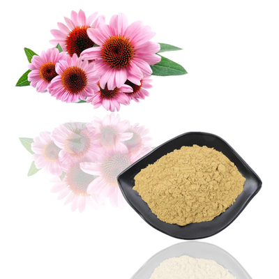 Polifenol orgánico natural el 2% - el 4% Cichoric el 2% - el 5% ácidos del extracto de Purpurea del Echinacea