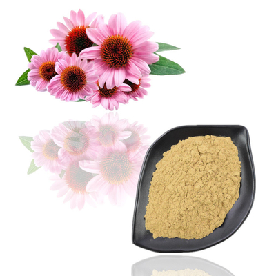 Extracto de la flor de Purpurea del Echinacea del polvo del extracto de la planta de la categoría alimenticia