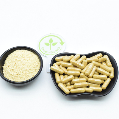 Extracto de raíz de ginseng rojo en polvo 80% Ginsenosida en polvo Productos de cuidado de la salud