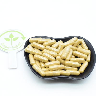 Extracto de raíz de ginseng rojo de Panax natural siberiano coreano 10% 20% 80% Ginsenosides en polvo