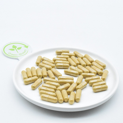 Panax de montaña de Changbai Ginseng Raíces farmacéuticas Ginseng fresco