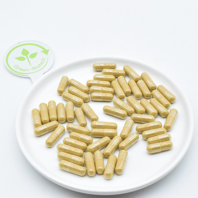 Raíz de ginseng planta natural extrae polvo de ginseng fresco seco