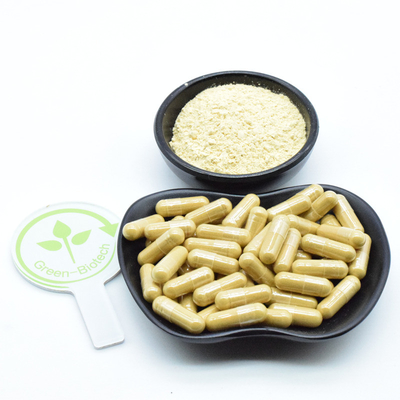 Raíz de ginseng planta natural extrae polvo de ginseng fresco seco