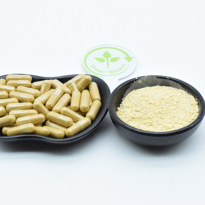 Herba seca orgánica Panax Semillas silvestres de ginseng chino Producto de raíz de ginseng en polvo