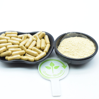 25 kg/ tambor Extractos naturales de plantas de raíz de ginseng Extractos de raíz de ginsenosides