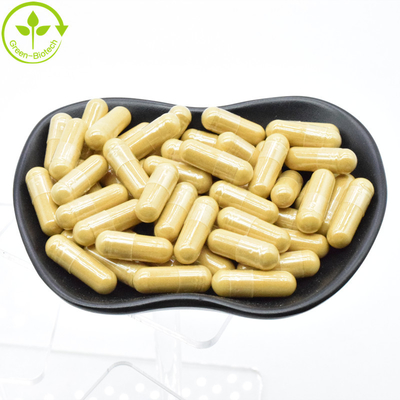 Suministro de fábrica de raíz de ginseng en polvo Panax extracto de ginseng 20:1 ginsenosida 80%