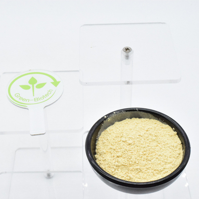 Extracto de Ginseng natural fermentado de raíz entera en rodajas en polvo