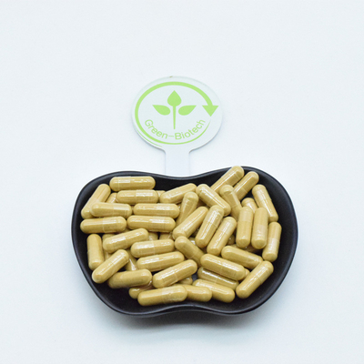 Extracto de raíz de ginseng natural cápsulas en polvo bebida de café semillas de té Panax ginseng