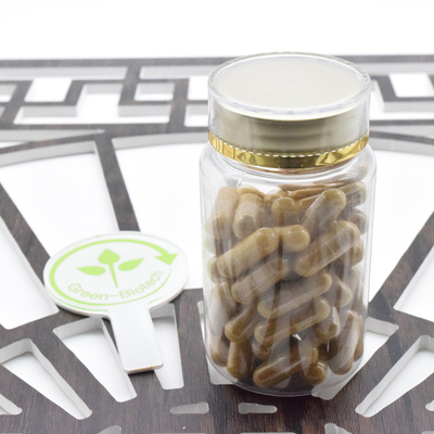 Suplemento para la atención médica Panax Ginseng puro en polvo Panax Ginseng Extracto 5%-80% Ginsenosida