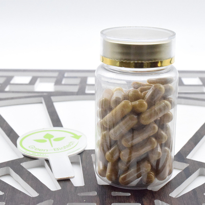 Suministro de fábrica de raíz de ginseng en polvo Panax extracto de ginseng 20:1 ginsenosida 80%