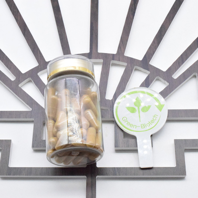 Ginseng de raíz Ginseng seco Ginseng fresco Ginseng a buen precio