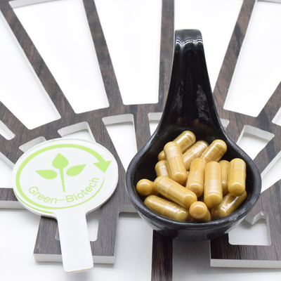 Compras al por mayor 100% de raíz de ginseng orgánico Panax ginseng a granel