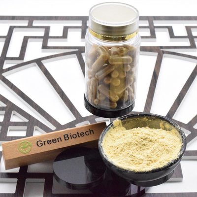 Muestra gratuita de extracto de cápsula de Ginkgo Biloba líquido