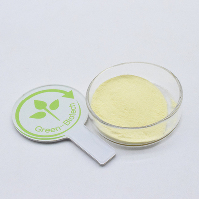 Suministro de fábrica mayorista 100% extracto natural de raíz de kava polvo fino amarillo