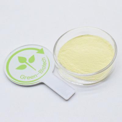 Venta caliente Cuidado de la salud Extracto de kava orgánico natural 20% 30% Polvo fino amarillo