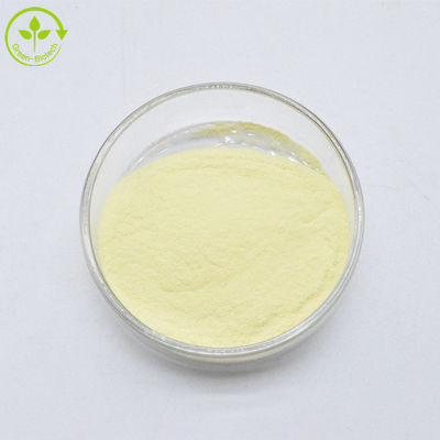 Extracto de raíz de kava 100% puro 30% extracto de raíz de kava