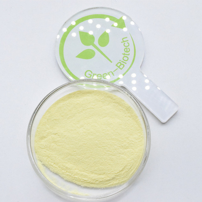 Suministro de extracto de kava orgánico 100% natural puro en polvo 30% Kavalactones