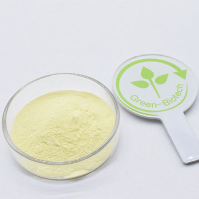 Venta caliente Amarillo 100% puro natural extracto de raíz de kava orgánica por buen precio