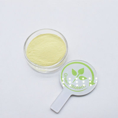 Extracto de raíz de kava 100% puro marrón amarillo orgánico extracto de kava en polvo