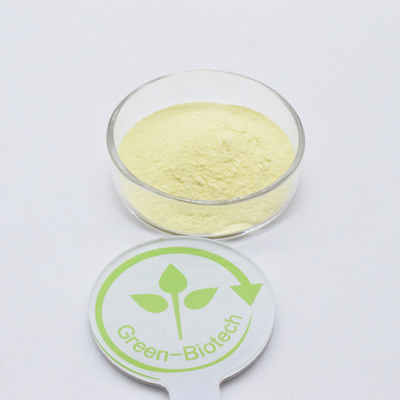 Venta caliente Extracto de raíz de kava marrón amarillo en polvo Plantación artificial
