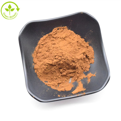 Extracto natural puro de crisantemo dorado Extracto de flor de crisantemo de alta calidad