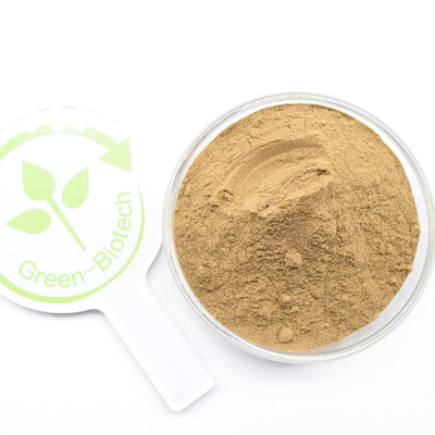 Venta caliente 10:1 Extracto de dendrobium officinale orgánico en polvo