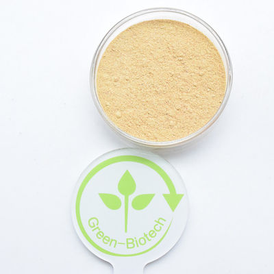 HPLC 90% extracto de Cyanotis Arachnoidea Beta Ecdysterona en polvo Hidroxiecdisona