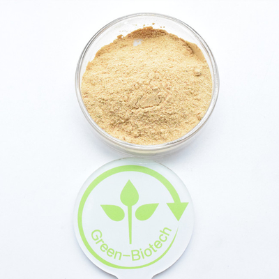 CAS 5289-74-7 Amarillo Marrón Beta Ecdisterona en polvo Beta Ecdisterona 98%