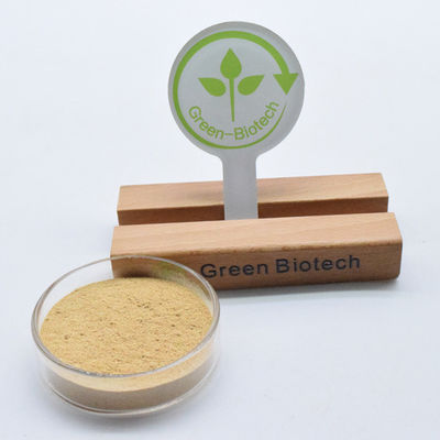 Extracto de raíz de Cyanotis arachnoidea pura Ecdisterona 98% Beta Ecdisterona en polvo