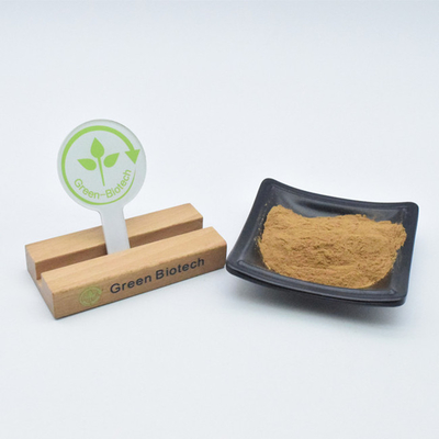 Extracto vegetal Productos de cuidado de la salud Extracto de maca en polvo Beneficio para hombres y mujeres