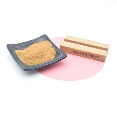 Extractos naturales de plantas productos calientes extracto de maca natural en polvo para hombres mejora